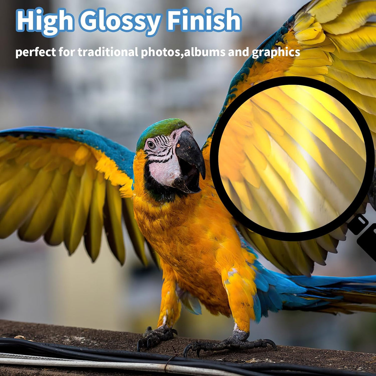 Reastar Glossy Photo Paper, 60 Sheets Inkjet Photo Printer Paper
