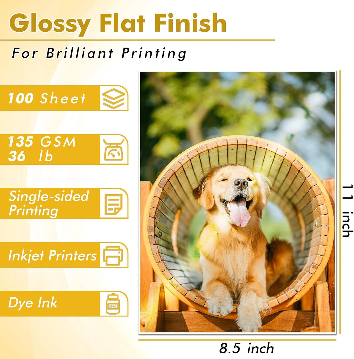 Koala Glossy Thin Inkjet Printer Paper 8.5x11 Inches 100 Sheets 36LB